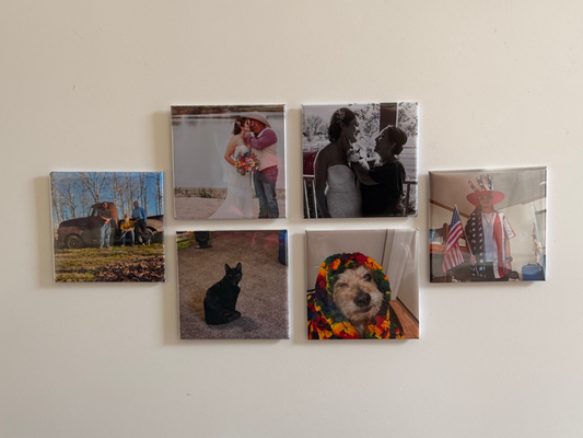 Custom magnet 12 pack